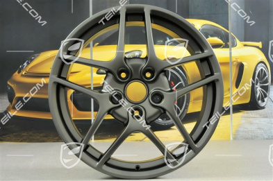 19-inch Carrera S II (Facelift) wheel set, 8J x 19 ET57 + 11J x 19 ET67, Platinum