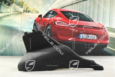 Kofferraumverkleidung, Hinten, Schwarz, R