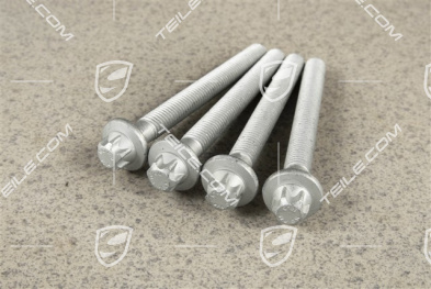 Hexagon head bolt, BM10X95