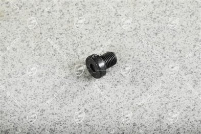 Mouning screw, Seat Belt Receptacle Mouning screw, Seat Belt Receptacle