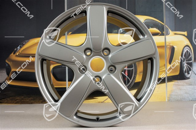19-inch wheel rim Cayenne Sport Classic II, 8,5J x 19 ET59, Platinum satin-matt
