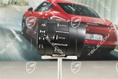Switch, Suspension standard/PASM