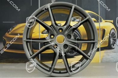 20-inch wheel Carrera S (IV), 11J x 20 ET78, for 991.2 C2/C2S / winter wheels, Platinum satin-mat