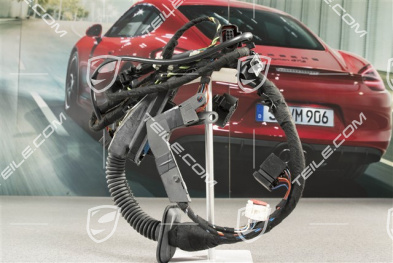 Wiązka elektryczna, drzwi, L