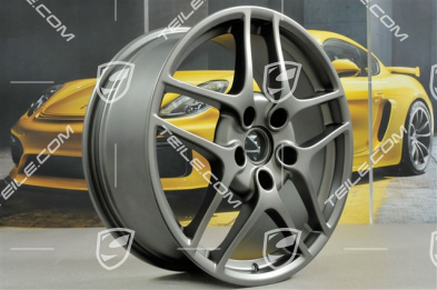 19-inch Carrera S II (Facelift) wheel set, 8J x 19 ET57 + 11J x 19 ET67, Platinum