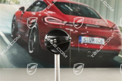 Headlight switch knob, glossy black